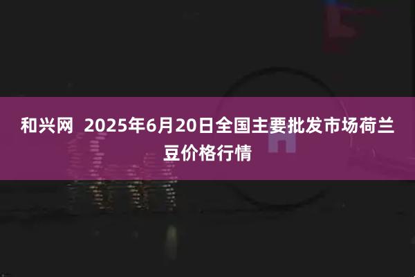 和兴网  2025年6月20日全国主要批发市场荷兰豆价格行情