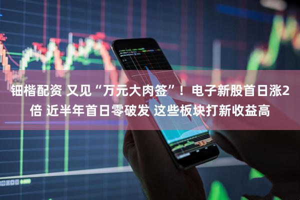 钿楷配资 又见“万元大肉签”！电子新股首日涨2倍 近半年首日零破发 这些板块打新收益高