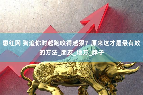 惠红网 狗追你时越跑咬得越狠？原来这才是最有效的方法_朋友_地方_脖子