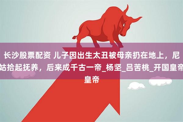 长沙股票配资 儿子因出生太丑被母亲扔在地上，尼姑拾起抚养，后来成千古一帝_杨坚_吕苦桃_开国皇帝