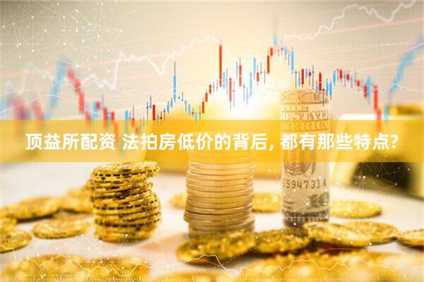 顶益所配资 法拍房低价的背后, 都有那些特点?