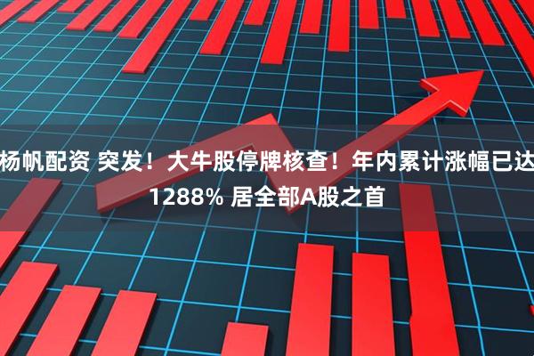 杨帆配资 突发！大牛股停牌核查！年内累计涨幅已达1288% 居全部A股之首