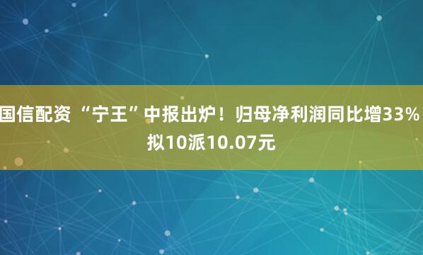 国信配资 “宁王”中报出炉！归母净利润同比增33% 拟10派10.07元