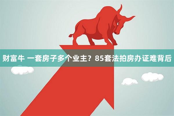 财富牛 一套房子多个业主？85套法拍房办证难背后