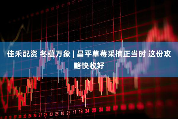 佳禾配资 冬蕴万象 | 昌平草莓采摘正当时 这份攻略快收好