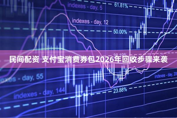 民间配资 支付宝消费券包2026年回收步骤来袭