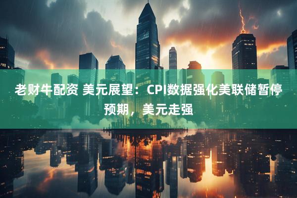 老财牛配资 美元展望：CPI数据强化美联储暂停预期，美元走强